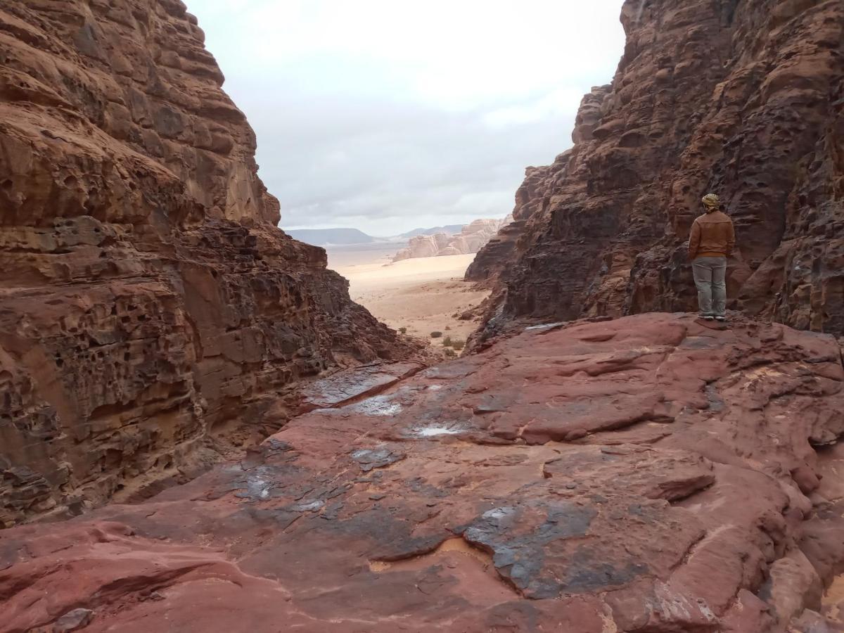 Rum Moon Luxury Camp Wadi Rum Exterior photo